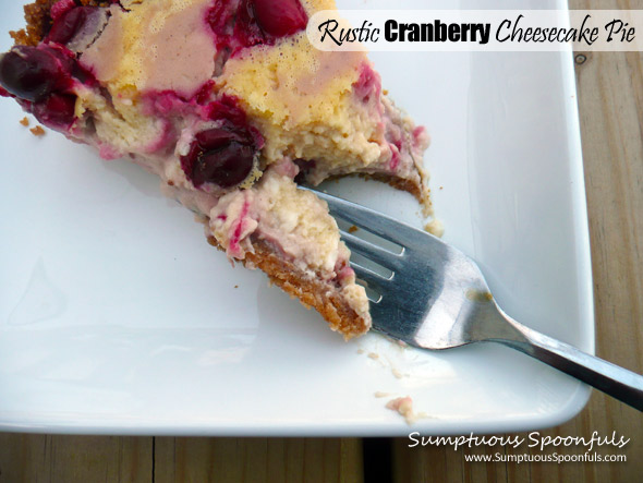 Rustic Cranberry Cheesecake Pie ~ Sumptuous Spoonfuls #dessert #recipe