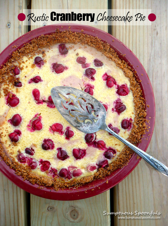 Rustic Cranberry Cheesecake Pie ~ Sumptuous Spoonfuls #dessert #recipe