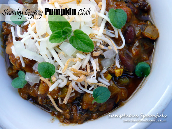 Sneaky Gypsy Pumpkin Chili ~ Sumptuous Spoonfuls #chili #recipe