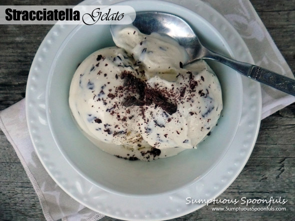 Stracciatella Gelato ~ Sumptuous Spoonfuls #Italian #Ice Cream #recipe