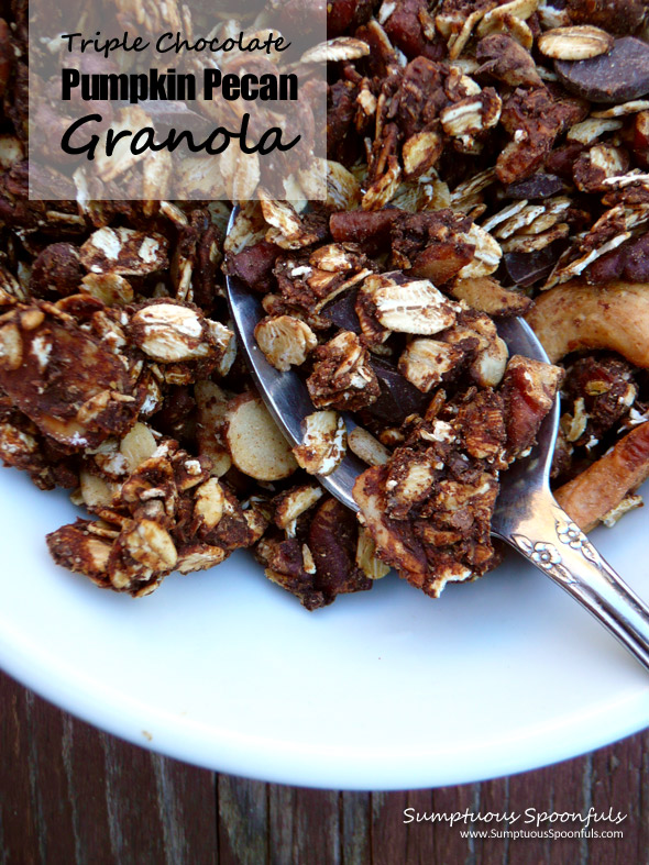 Triple Chocolate Pumpkin Pecan Granola ~ Sumptuous Spoonfuls #granola #recipe