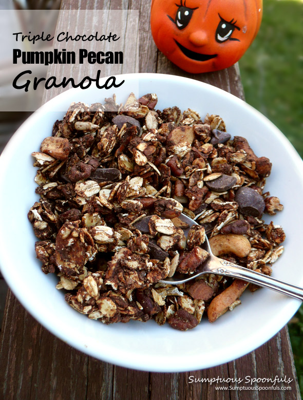 Triple Chocolate Pumpkin Pecan Granola ~ Sumptuous Spoonfuls #granola #recipe