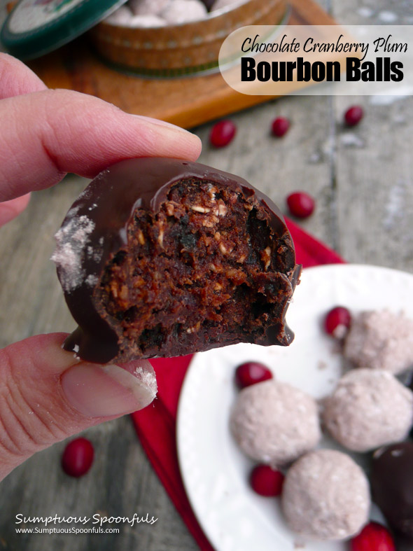Chocolate Cranberry Plum Bourbon Balls ~ Sumptuous Spoonfuls #holiday #recipe