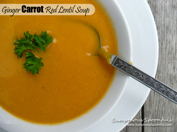 Ginger Carrot Red Lentil Soup ~ Sumptuous Spoonfuls #soup #recipe