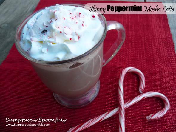 Skinny Peppermint Mocha Latte ~ Sumptuous Spoonfuls #healthy #coffee