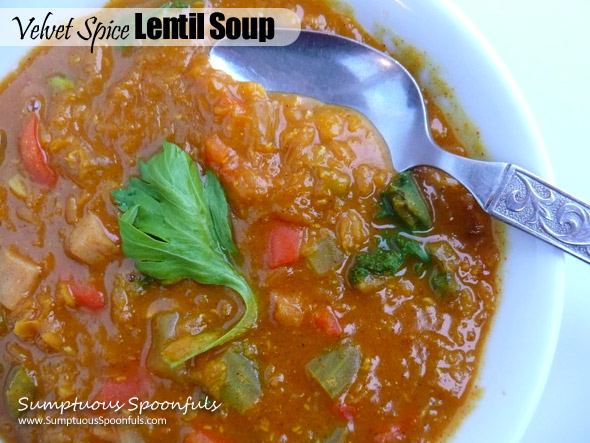 Velvet Spice Red Lentil Soup ~ Sumptuous Spoonfuls #soup #recipe