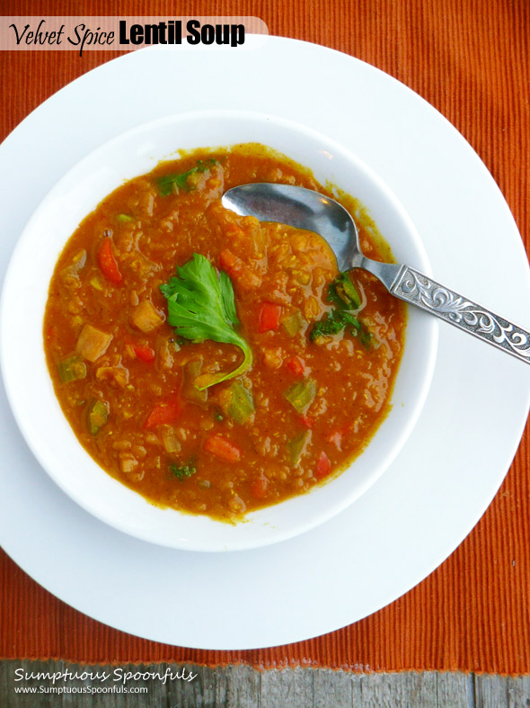 Velvet Spice Red Lentil Soup ~ Sumptuous Spoonfuls #soup #recipe