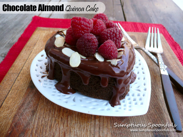 Chocolate Almond Quinoa Cake ~ Sumptuous Spoonfuls #flourless #cake #recipe