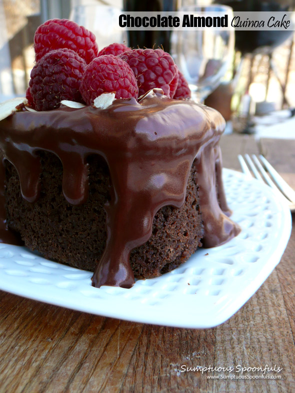 Chocolate Almond Quinoa Cake ~ Sumptuous Spoonfuls #flourless #cake #recipe