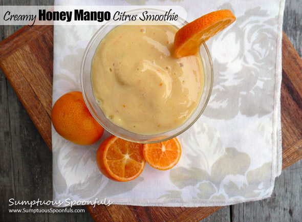 Creamy Honey Mango Citrus Smoothie ~ Sumptuous Spoonfuls #smoothie #recipe