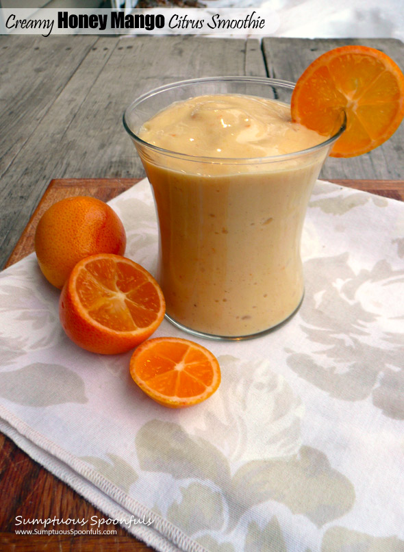 Creamy Honey Mango Citrus Smoothie ~ Sumptuous Spoonfuls #smoothie #recipe