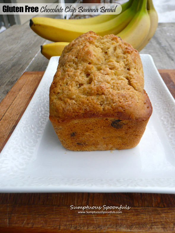 Gluten Free Chocolate Chip Banana Bread ~ Sumptuous Spoonfuls #GF #bread #recipe