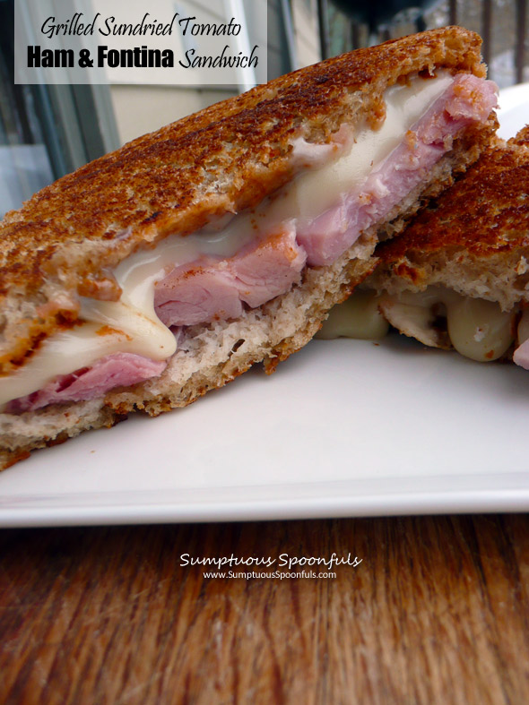 Grilled Sundried Tomato Ham & Fontina Cheese Sandwich ~ Sumptuous Spoonfuls #sandwich #recipe