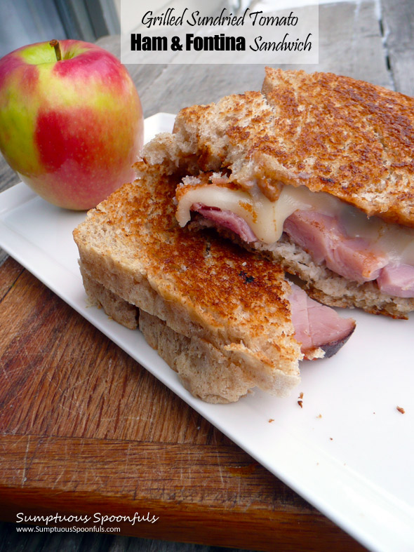 Grilled Sundried Tomato Ham & Fontina Cheese Sandwich ~ Sumptuous Spoonfuls #sandwich #recipe