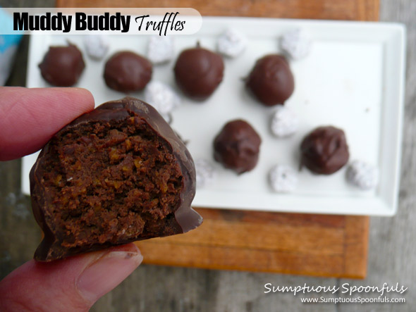 Muddy Buddy Truffles ~ Sumptuous Spoonfuls #puppy chow #truffles #recipe