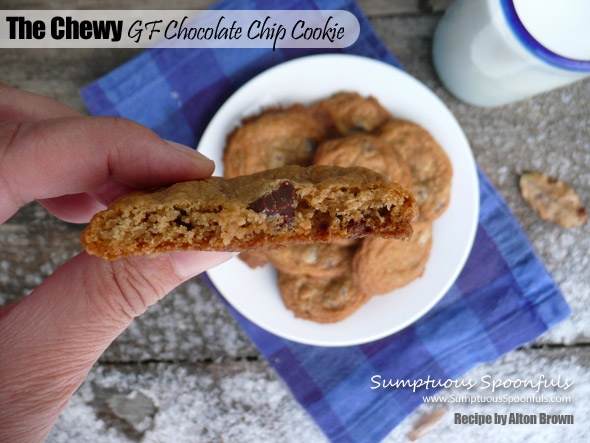 http://www.sumptuousspoonfuls.com/wp-content/uploads/2014/01/The-Chewy-Gluten-Free-Chocolate-Chip-Cookie-Alton-Brown-Recipe-2.jpg