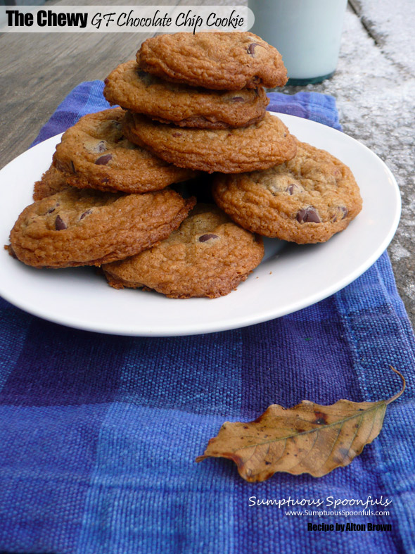 Alton Brown's "The Chewy" Gluten Free Chocolate Chip Cookie vs Mrs. Fields Blue Ribbon Chocolate Chip Cookie: which one will win?