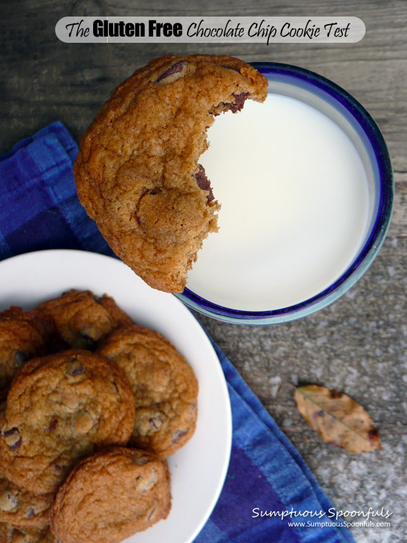 Alton Brown's "The Chewy" Gluten Free Chocolate Chip Cookie vs Mrs. Fields Blue Ribbon Chocolate Chip Cookie: which one will win?