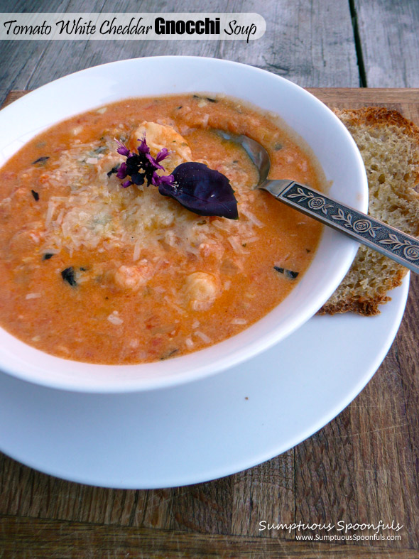 Tomato White Cheddar Gnocchi Soup ~ Sumptuous Spoonfuls #soup #recipe