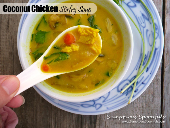 Coconut Chicken Stirfry Soup ~ Sumptuous Spoonfuls #soup #recipe