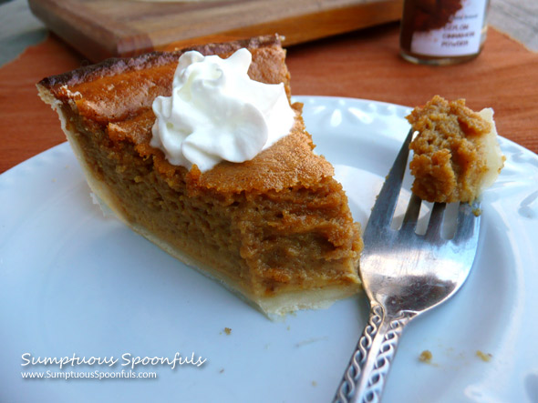 Simple Ceylon Cinnamon Pumpkin Pie ~ Sumptuous Spoonfuls #pumpkin #pie #recipe