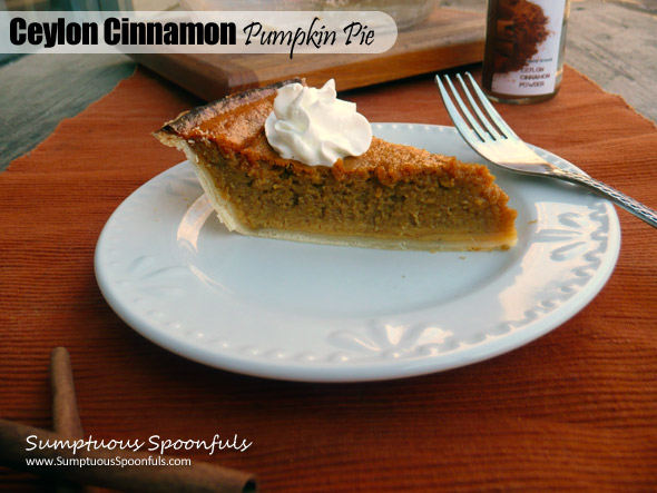 Simple Ceylon Cinnamon Pumpkin Pie ~ Sumptuous Spoonfuls #pumpkin #pie #recipe