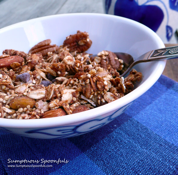 Chocolate Peanut Butter Quinoa Granola ~ Sumptuous Spoonfuls #quinoa #granola #recipe