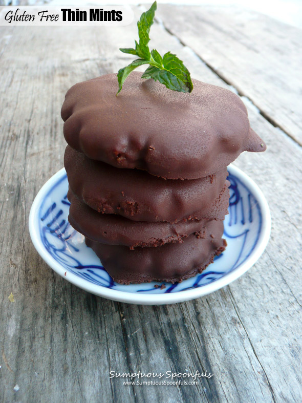 Gluten Free Thin Mints ~ Sumptuous Spoonfuls #girlscout #cookie #recipe