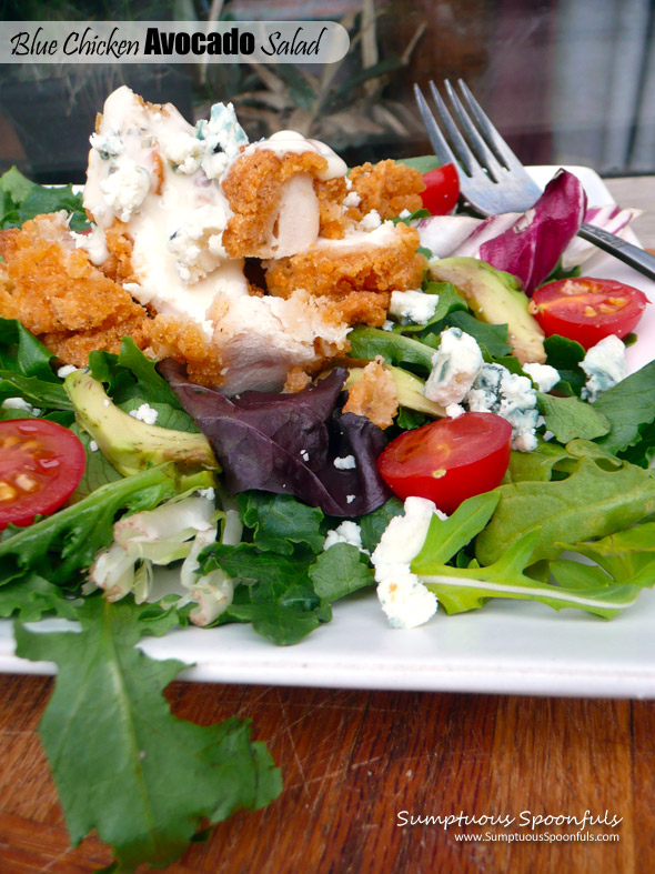 Blue Chicken Avocado Salad ~ Sumptuous Spoonfuls #salad #recipe