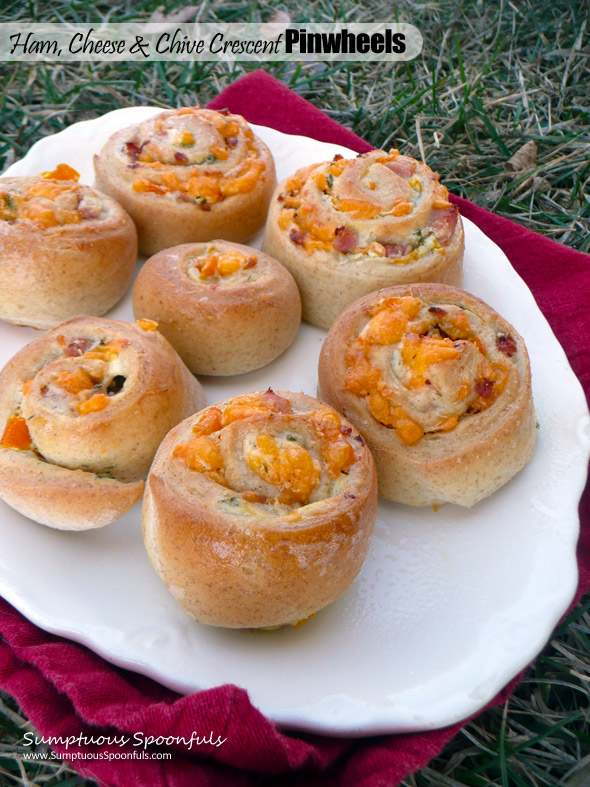 Ham, Cheese & Chive Cresent Pinwheels ~ Sumptuous Spoonfuls #portable #sandwich #recipe