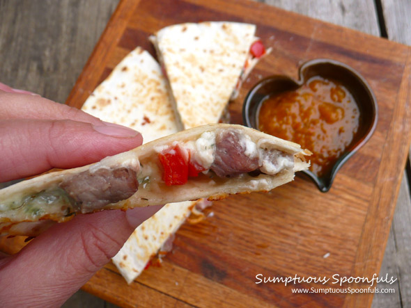 Steak & Blue Cheese Quesadilla ~ Sumptuous Spoonfuls #quick #snack or #dinner #recipe