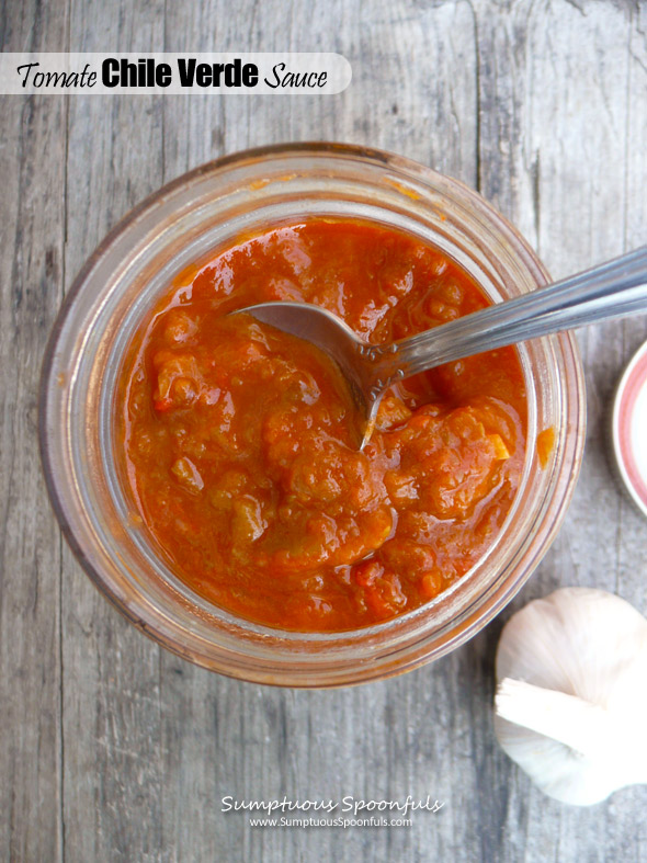 Tomate Chile Verde Sauce ~ Sumptuous Spoonfuls  #Mexican #awesome #sauce