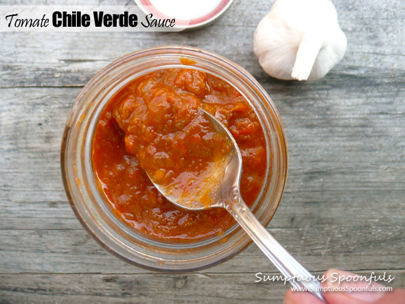 Tomate Chile Verde Sauce ~ Sumptuous Spoonfuls  #Mexican #awesome #sauce