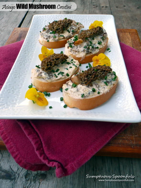 Asiago Wild Mushroom Crostini ~ Sumptuous Spoonfuls #easy #morel #mushroom #appetizer #recipe