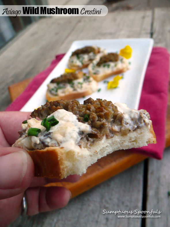 Asiago Wild Mushroom Crostini ~ Sumptuous Spoonfuls #easy #morel #mushroom #appetizer #recipe