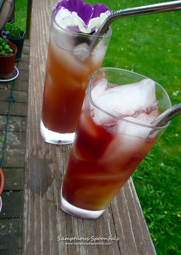 Blueberry Pineapple Tequila Sunrise ~ Sumptuous Spoonfuls #tequila #cocktail #recipe