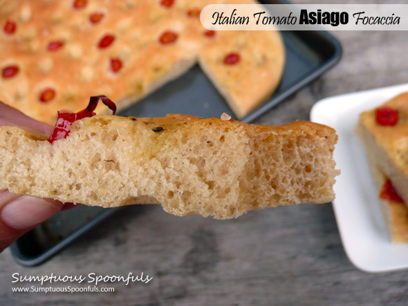 Italian Tomato Asiago Focaccia ~ Sumptuous Spoonfuls #yeast #bread #recipe