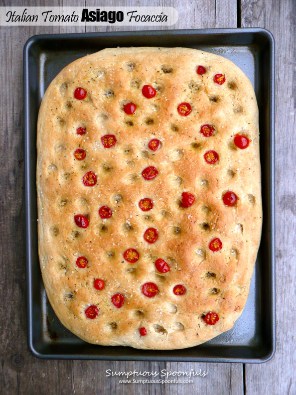 Italian Tomato Asiago Focaccia ~ Sumptuous Spoonfuls #yeast #bread #recipe