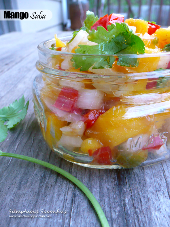 Mango  Salsa ~ Sumptuous Spoonfuls #easy #fruit #salsa #recipe