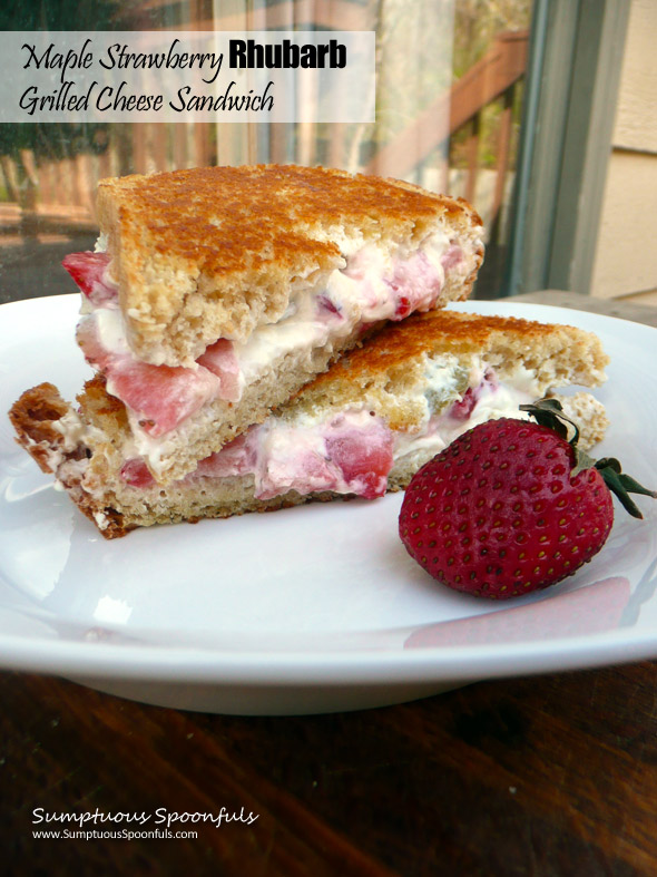 Maple Strawberry Rhubarb Grilled Cheese Sandwich ~ Sumptuous Spoonfuls #sweet #fruit #sandwich #recipe