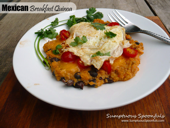 Mexican Breakfast Quinoa ~ Sumptuous Spoonfuls #healthy #quick #Mexican #breakfast