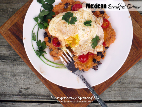 Mexican Breakfast Quinoa ~ Sumptuous Spoonfuls #healthy #quick #Mexican #breakfast