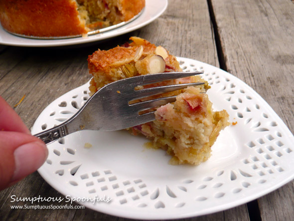 Rhubarb Almond Cake {Gluten Free}  ~ Sumptuous Spoonfuls #rhubarb #dessert #cake