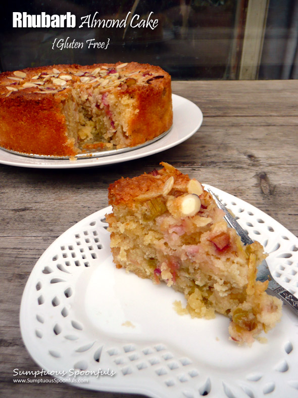 Rhubarb Almond Cake {Gluten Free}  ~ Sumptuous Spoonfuls #rhubarb #dessert #cake