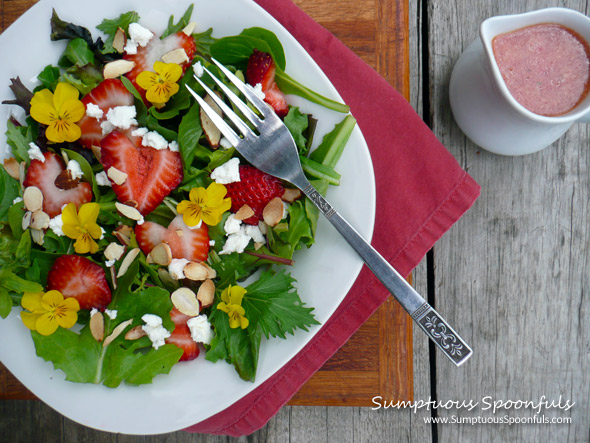 Springtime Strawberry Viola Salad with Strawberry Rhubarb Vinaigrette ~ Sumptuous Spoonfuls #spring #strawberry #salad #recipe