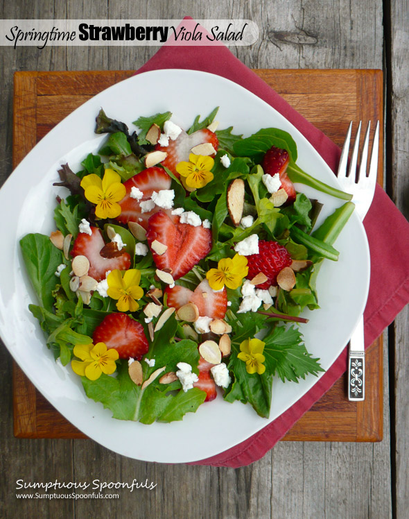 Springtime Strawberry Viola Salad with Strawberry Rhubarb Vinaigrette ~ Sumptuous Spoonfuls #spring #strawberry #salad #recipe