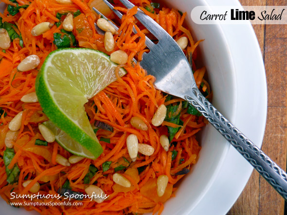 Carrot Lime Salad with Basil, Cilantro, Apricots & Pine Nuts and a Cookbook Review ~ Sumptuous Spoonfuls #carrot #salad #recipe #cookbook #review