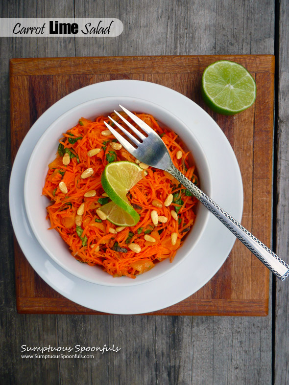 Carrot Lime Salad with Basil, Cilantro, Apricots & Pine Nuts and a Cookbook Review ~ Sumptuous Spoonfuls #carrot #salad #recipe #cookbook #review