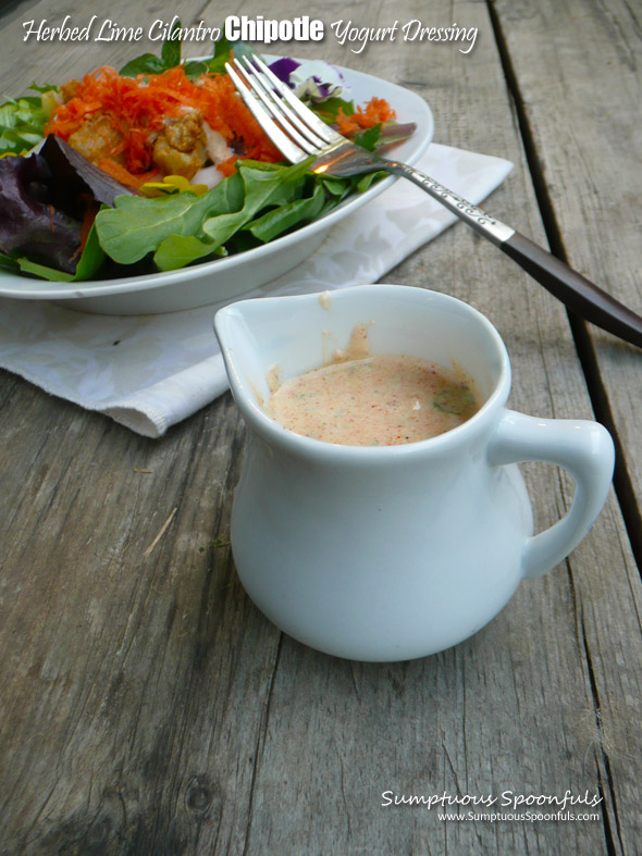 Herbed Lime Cilantro Chipotle Yogurt Salad Dressing ~ an easy, fabulous, and super healthy homemade dressing from Sumptuous Spoonfuls