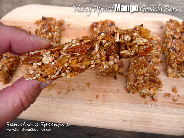 Honey Apricot Mango Granola Bars ~ Sumptuous Spoonfuls #easy #homemade #granola #bars #recipe